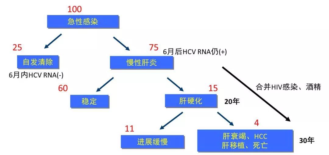 丙肝檢測(cè)的弱陽(yáng)性究竟是不是感染了丙肝？